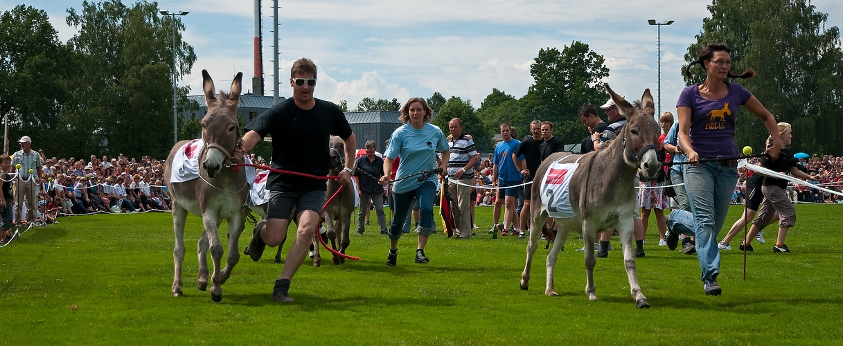 Hersbrucker Eselrennen 2010 - Abgehoben