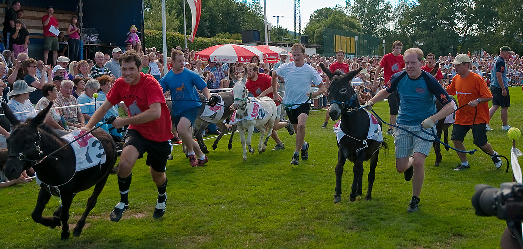 Hersbrucker Eselrennen 2010 - Der Start