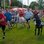 Hersbrucker Eselrennen 2010 - Der Start