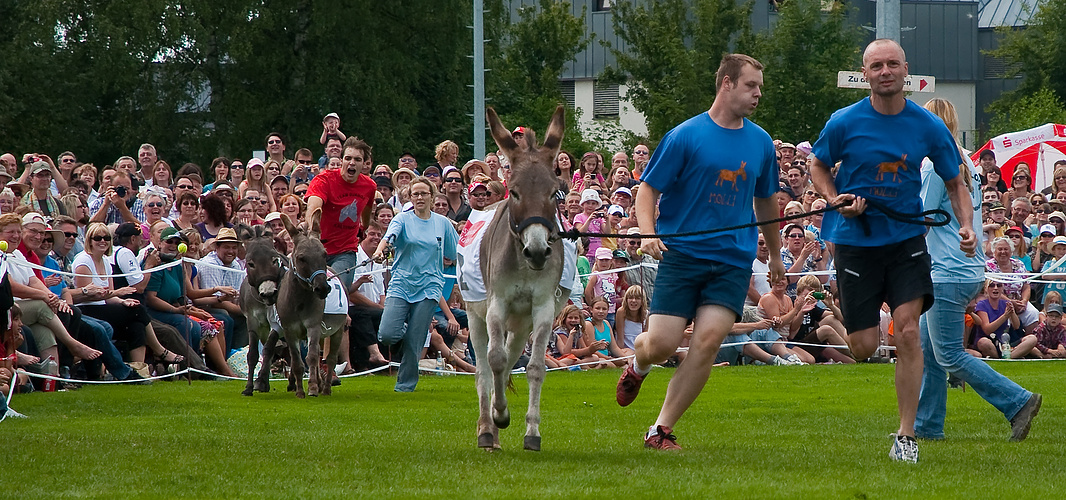 Hersbrucker Eselrennen 2010 - Die Übergabe