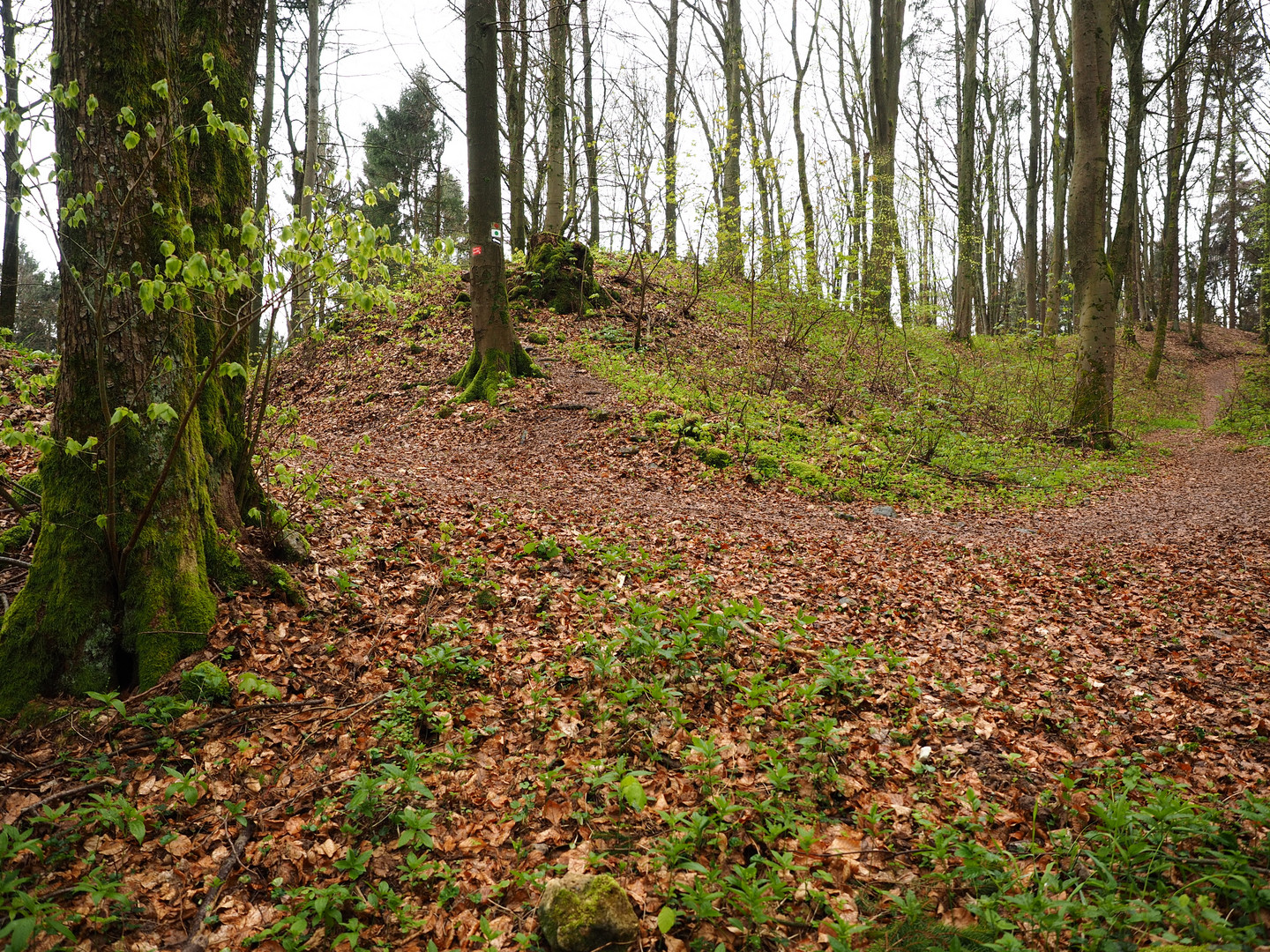 Hersbrucker Schweiz 