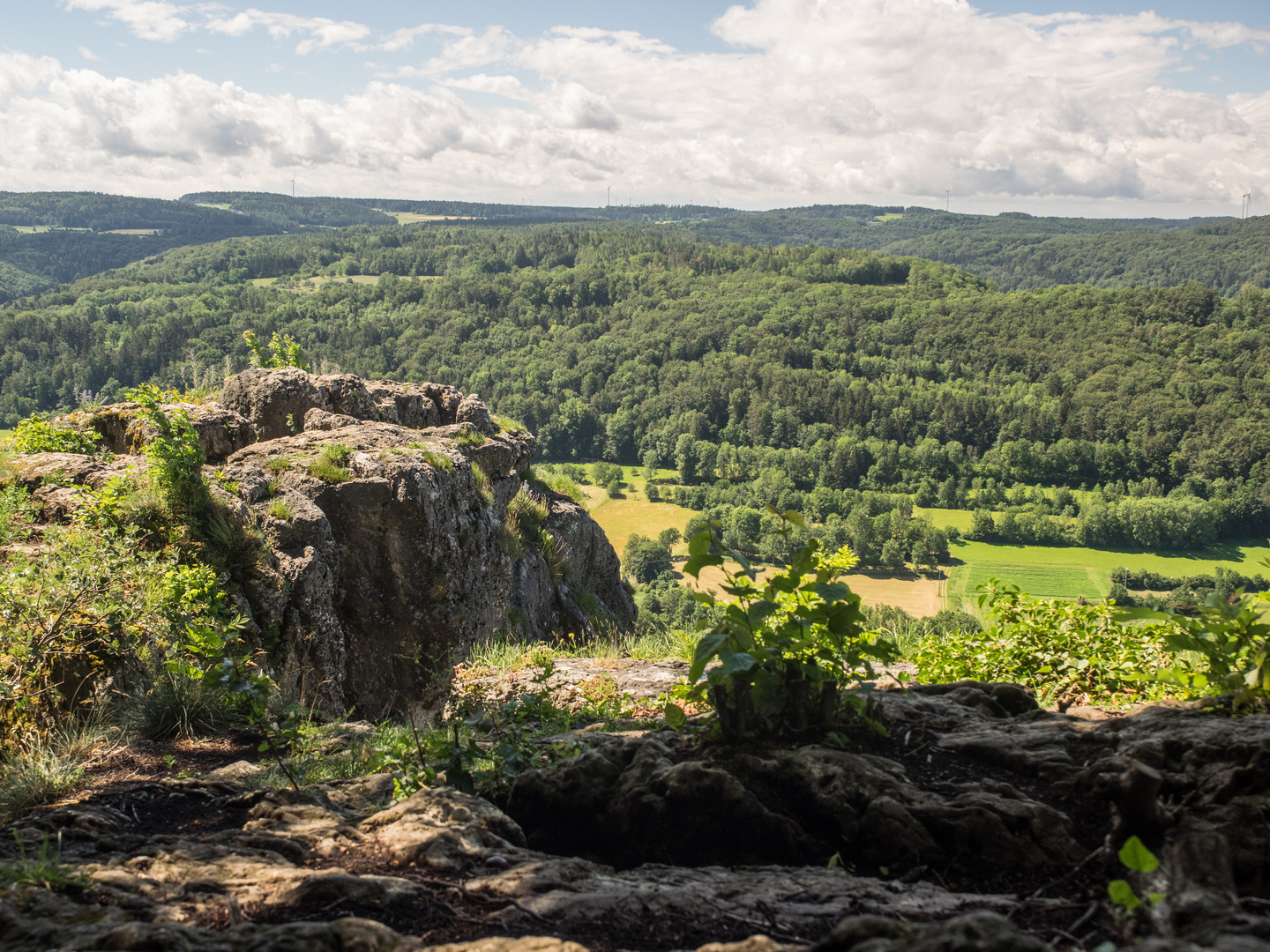 Hersbrucker Schweiz, Blick oberhalb des hohlen Fels. 