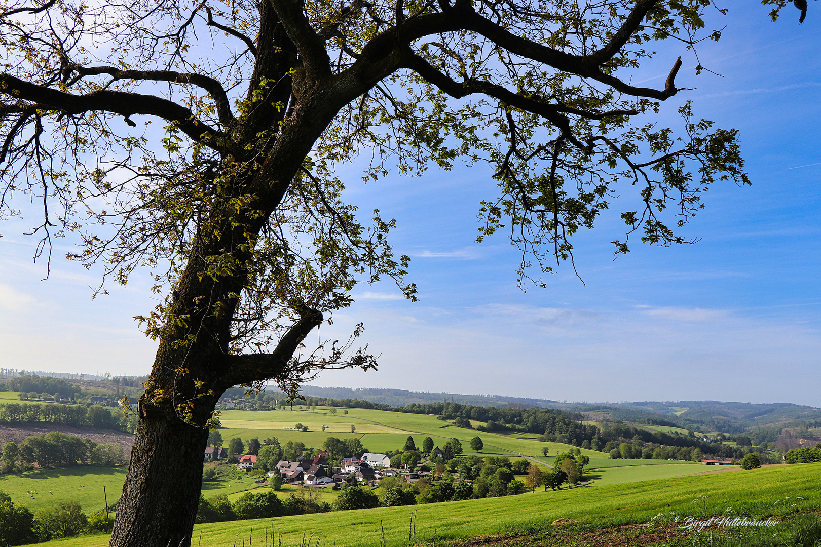 Herscheid-Nieder-Holte im Frühling