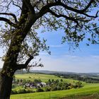 Herscheid-Nieder-Holte im Frühling