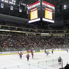 Hershey Bears / Hamilton Bulldogs