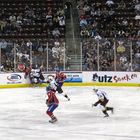 Hershey Bears / Hamilton Bulldogs im Giant Center Hershey