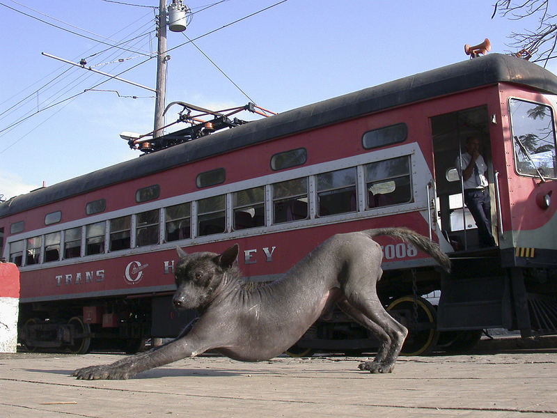 Hershey Line (Habana - Hershey) - Interurban car - Cuba 2002