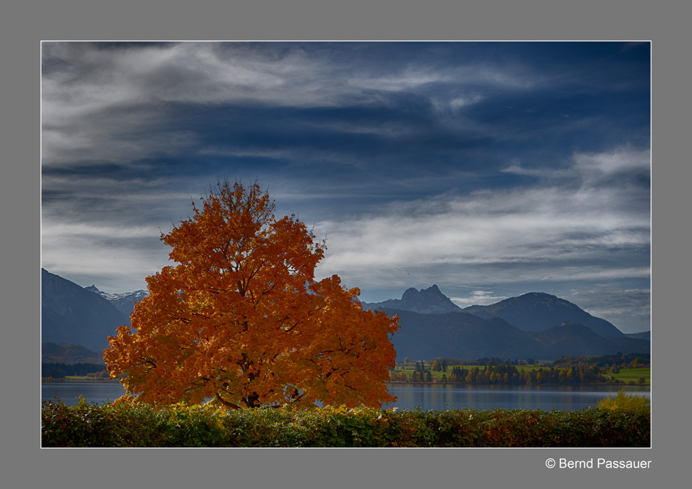 Herst am Hopfensee