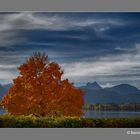 Herst am Hopfensee