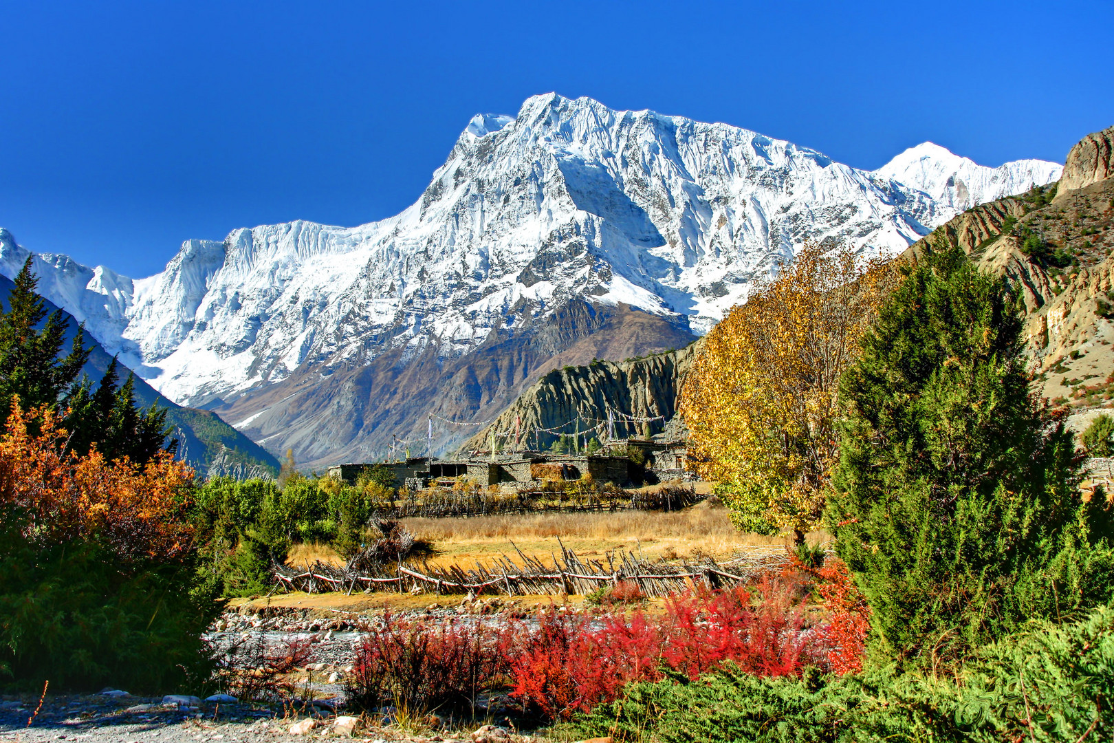 Herst im Himalaya