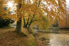 Herst im Park 2