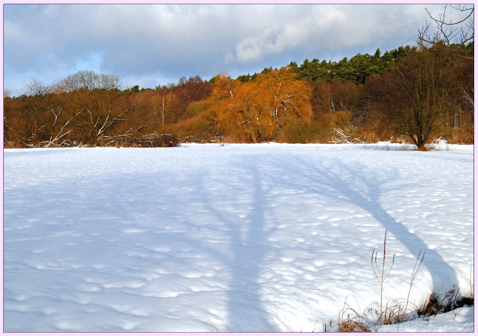 Herst- und Winterfarben