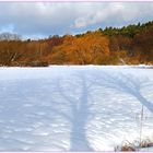 Herst- und Winterfarben