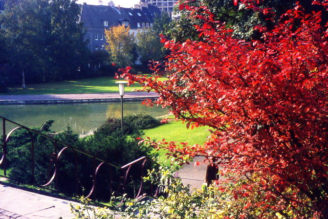 Herstanfang Okt. 1972 im Paderborner Quellgebiet