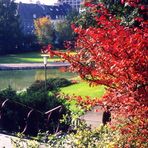 Herstanfang Okt. 1972 im Paderborner Quellgebiet