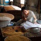 Herstellung von Reispapier in der Nähe von Saigon, Vietnam