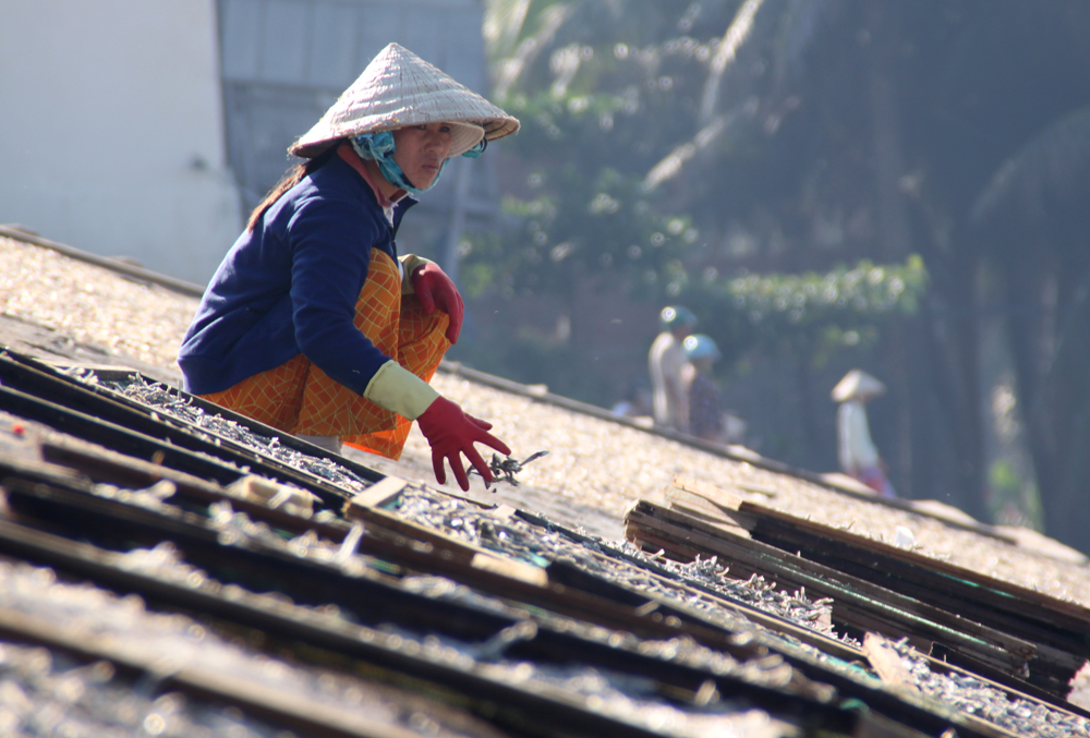 Herstellung von Trockenfisch in Vietnam