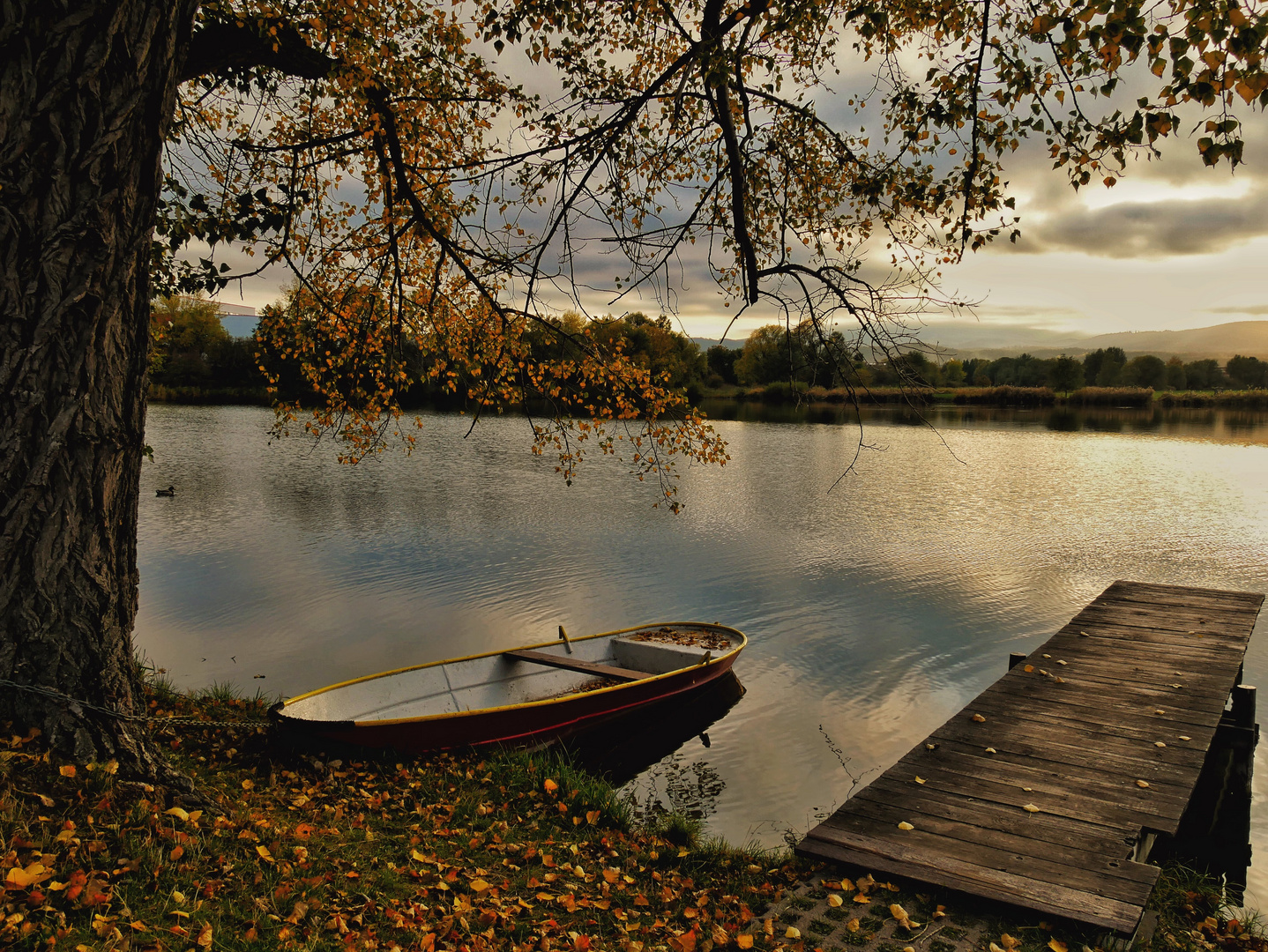 Herstliche Idylle am Teich