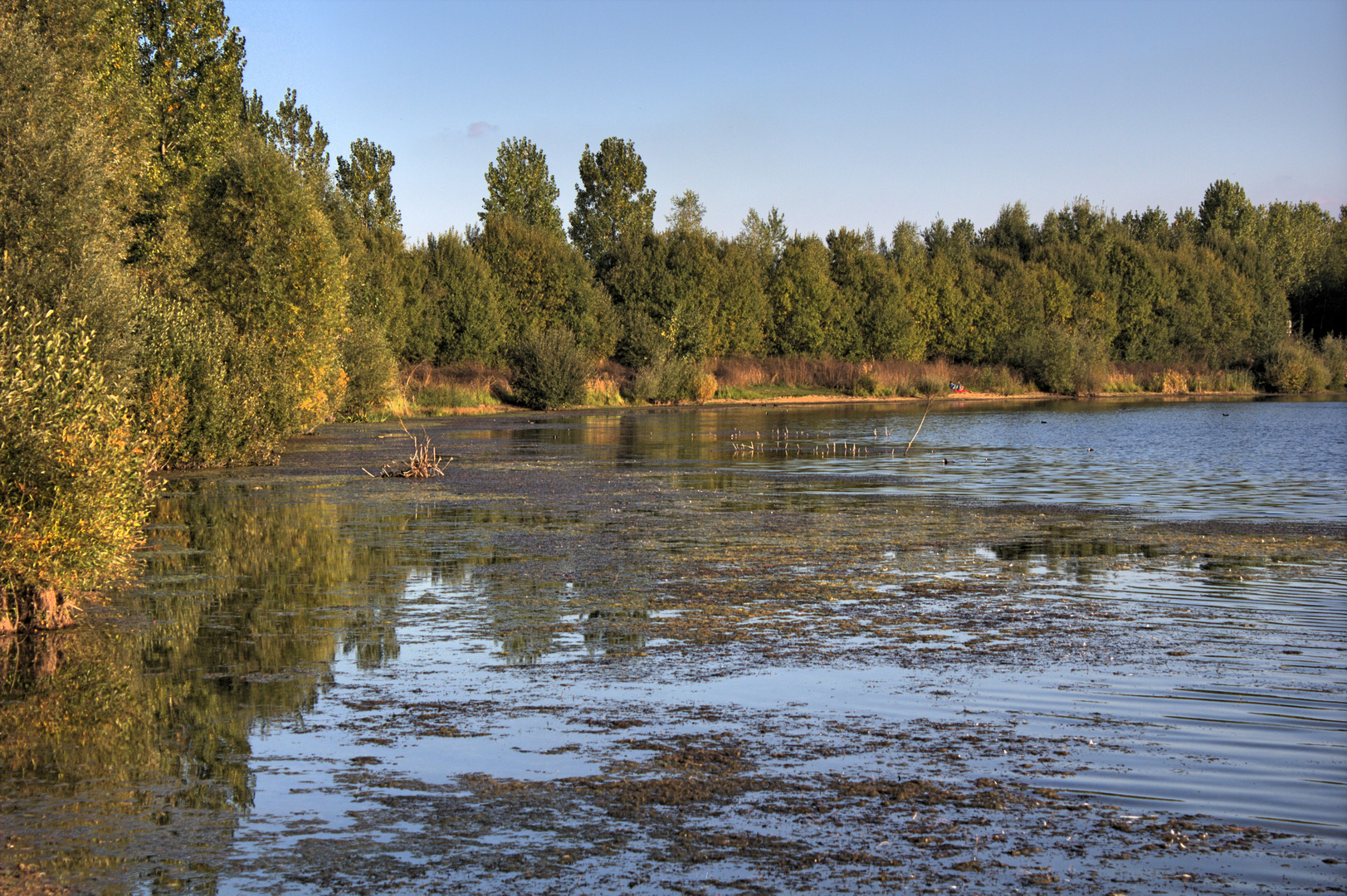 Herstlicher Boisdorfersee