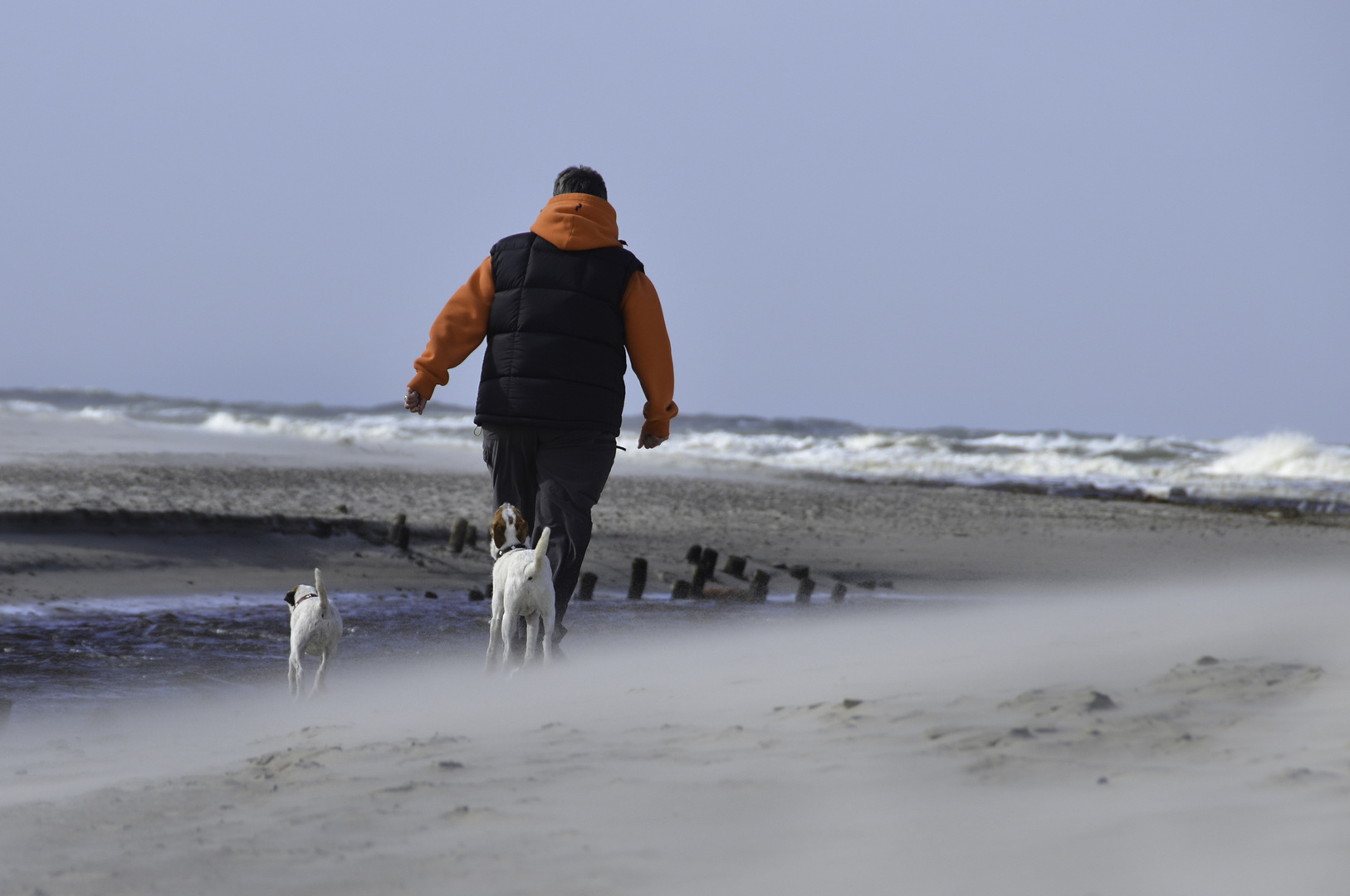 Herststurm an der Nordsee