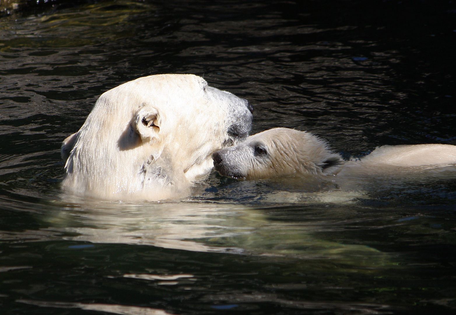 Herta und Tonja im Wasser