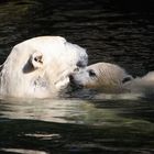 Herta und Tonja im Wasser