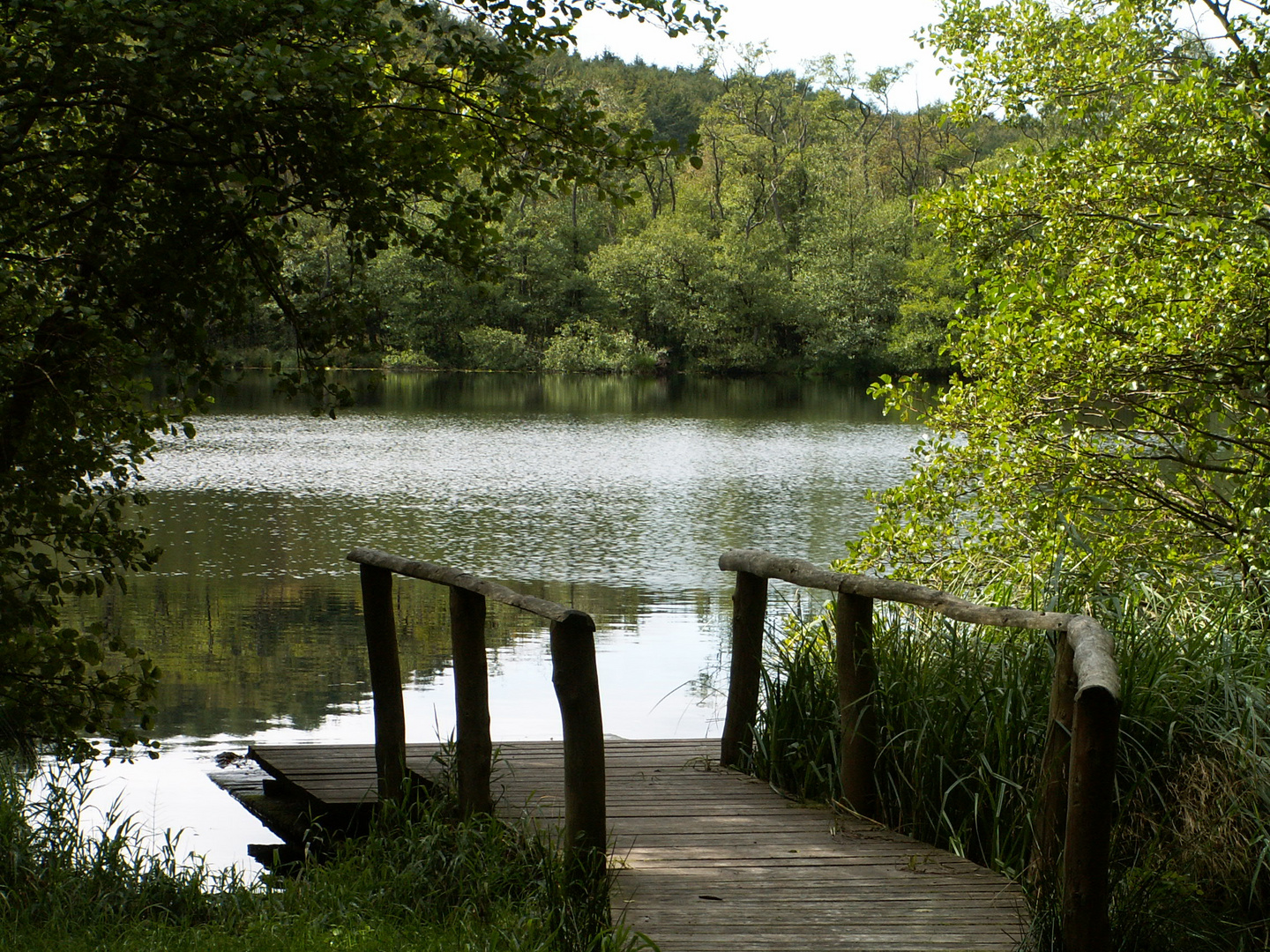 Hertasee auf Rügen