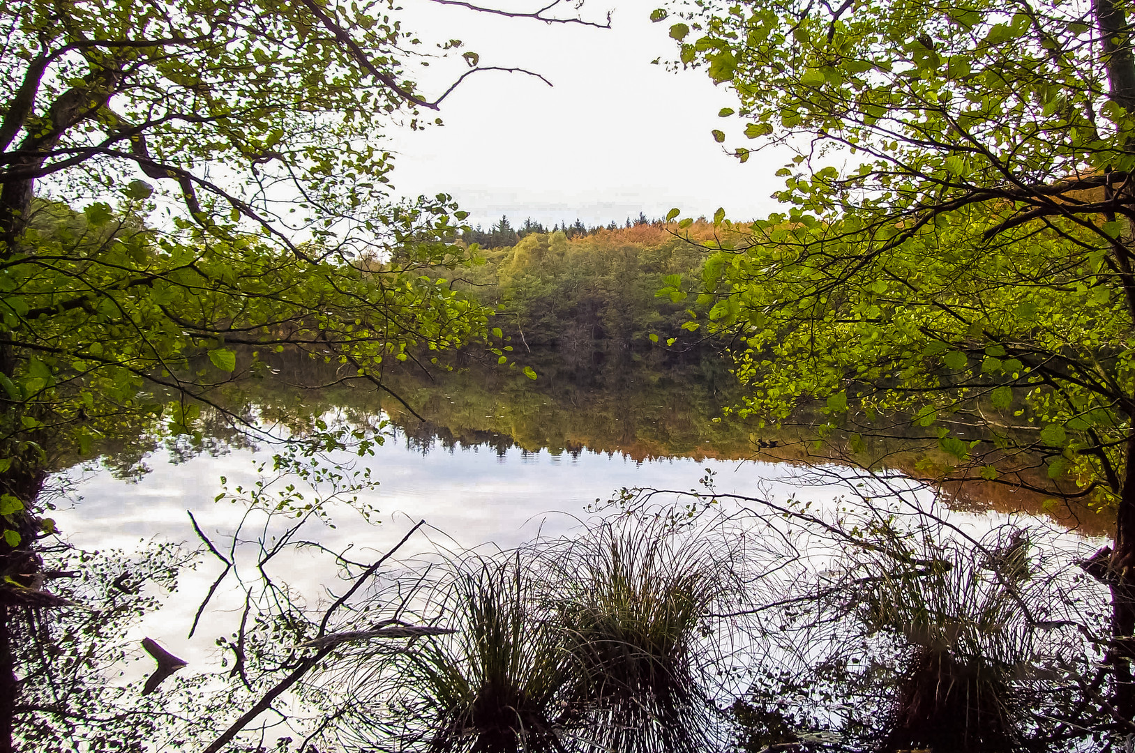 Hertasee Nähe Königsstuhl Rügen