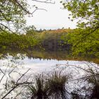 Hertasee Nähe Königsstuhl Rügen