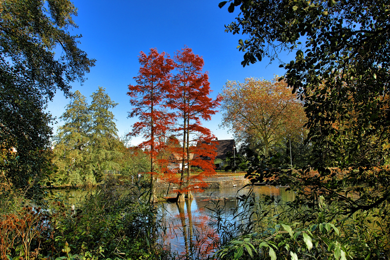 Herten, Backumer Teich