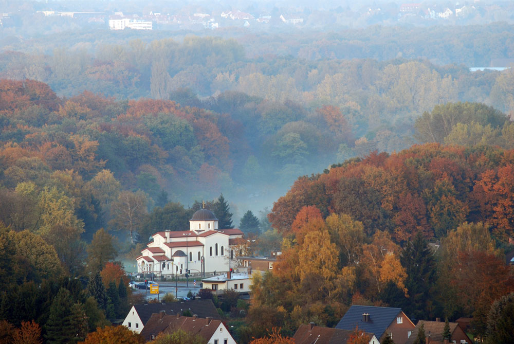 Herten im Wald