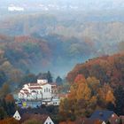 Herten im Wald