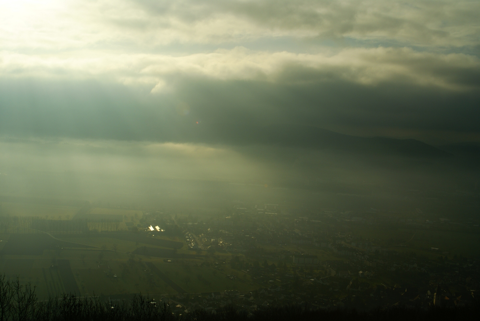 Herten inWolken