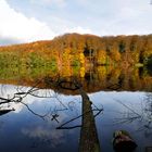 Herthasee im Farbenrausch