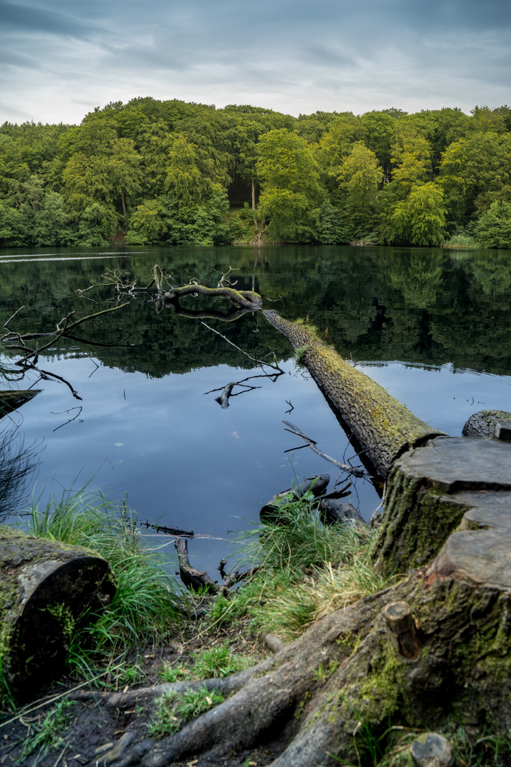 Herthasee im Nationalpark Jasmund