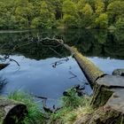 Herthasee im Nationalpark Jasmund