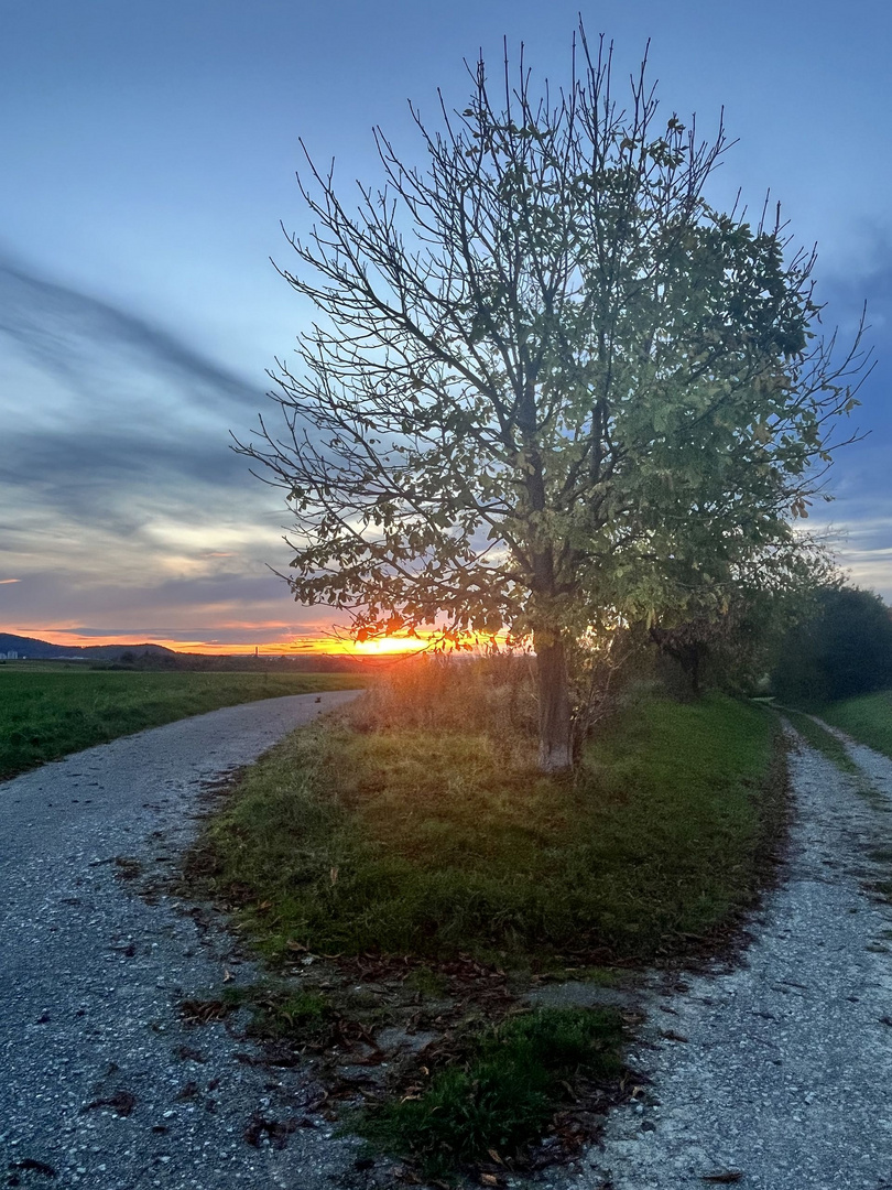 Hertmansweiler im Abendrot