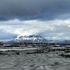 Herðubreið Panorama