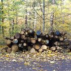 Herumliegen für die Holzwirtschaft