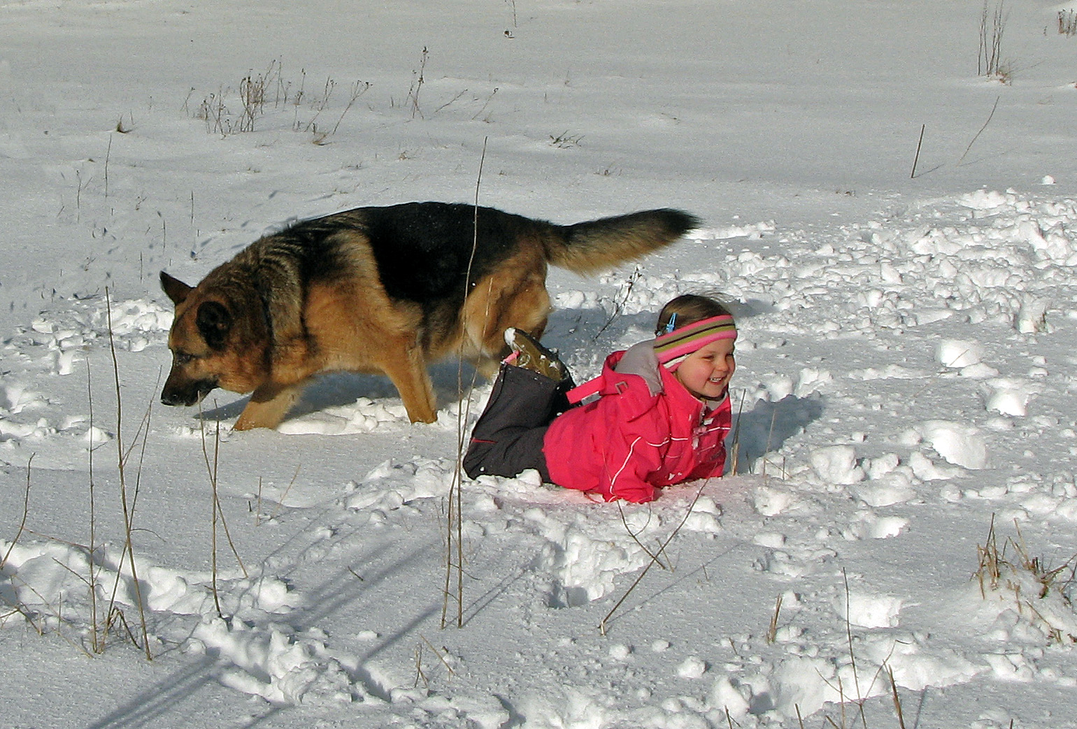 Herumtoben im Schnee