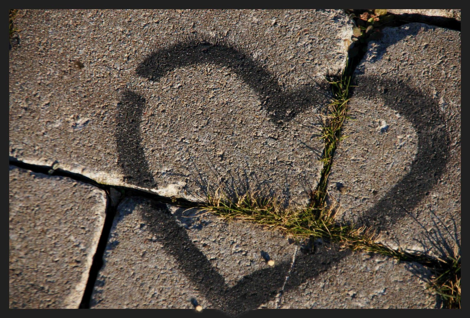 Herz für Freunde-24 oder wo die Liebe hinfällt, wächst kein Gras mehr...