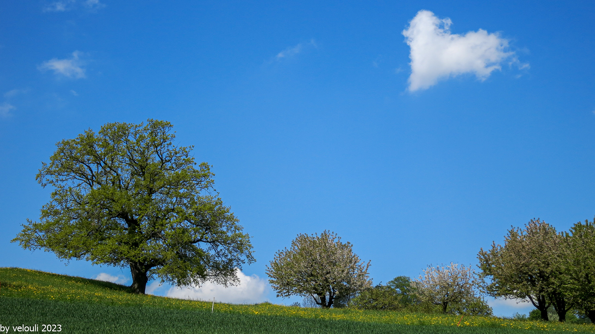 Herz im Himmel