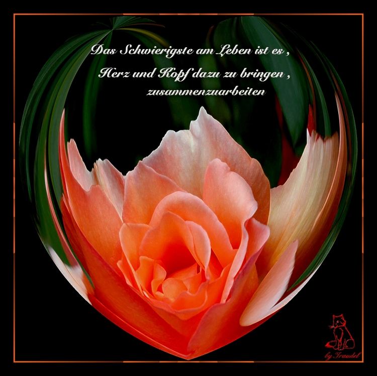 Herz mit Spruch Foto & Bild verfremdung (geschl.), xarchiv, digiart