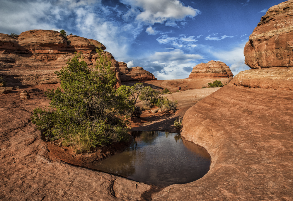 Herz-Quelle auf dem Weg zum Delicate Arch