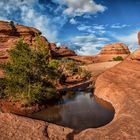 Herz-Quelle auf dem Weg zum Delicate Arch