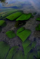 Herz, was lässt Du dich treiben, im Fluss des Lebens?!