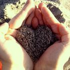 Herz wie Sand