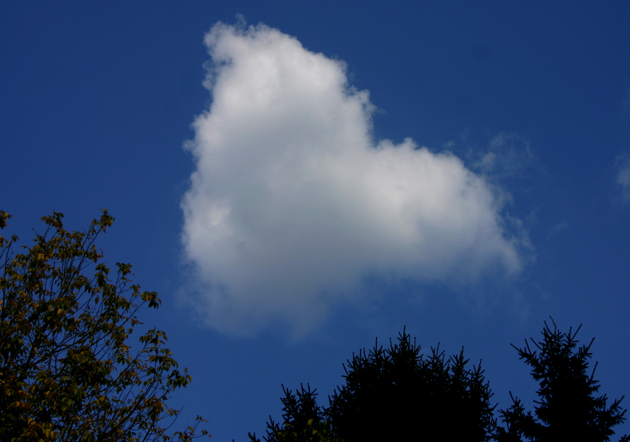 " Herz-Wolke - Wolken-Herz " Foto & Bild | himmel, wolken, himmel