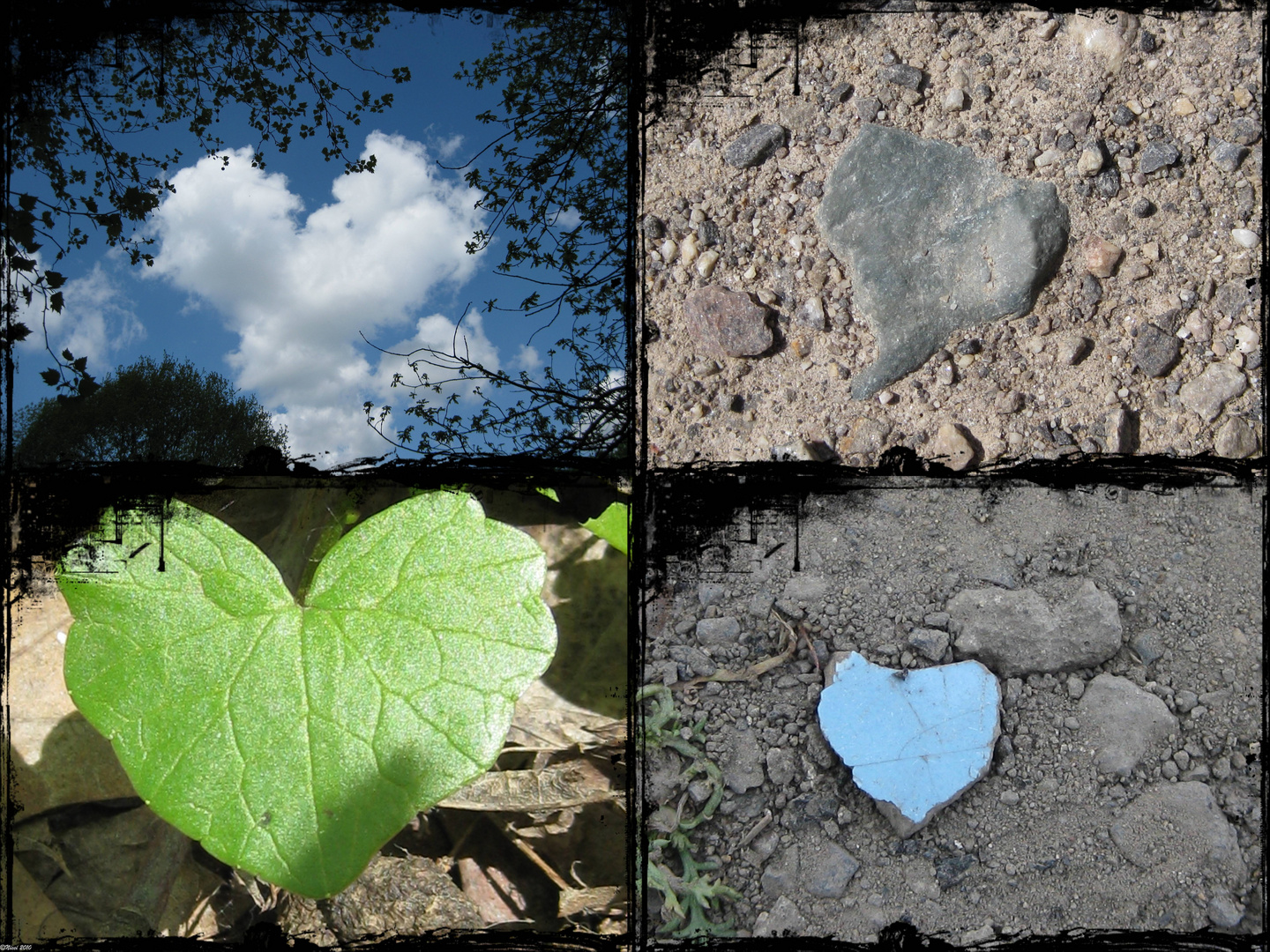 Herzen der Natur Foto & Bild sonstiges, naturkunst, natur Bilder auf