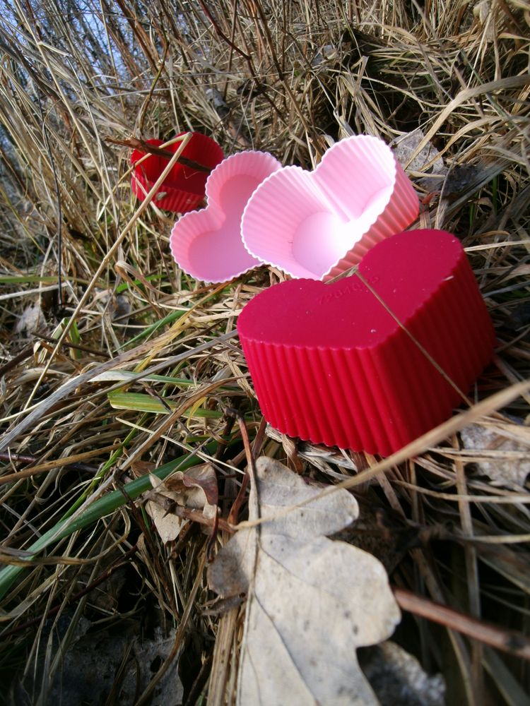 herzen im wald liebe Foto & Bild alltagsdesign, herzen im wald